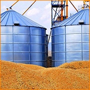 защита зернохранилищ и амбаров от грызунов