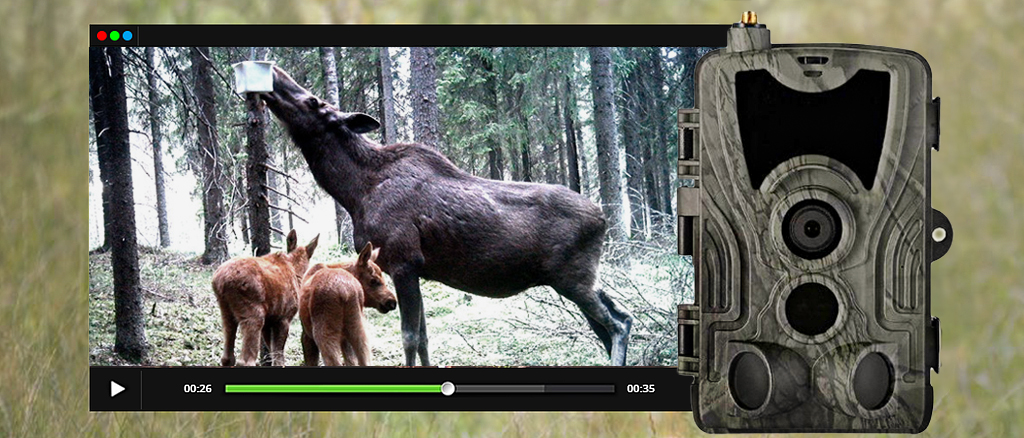 Фотоловушка Suntek HC-801M 7achestvo.jpg