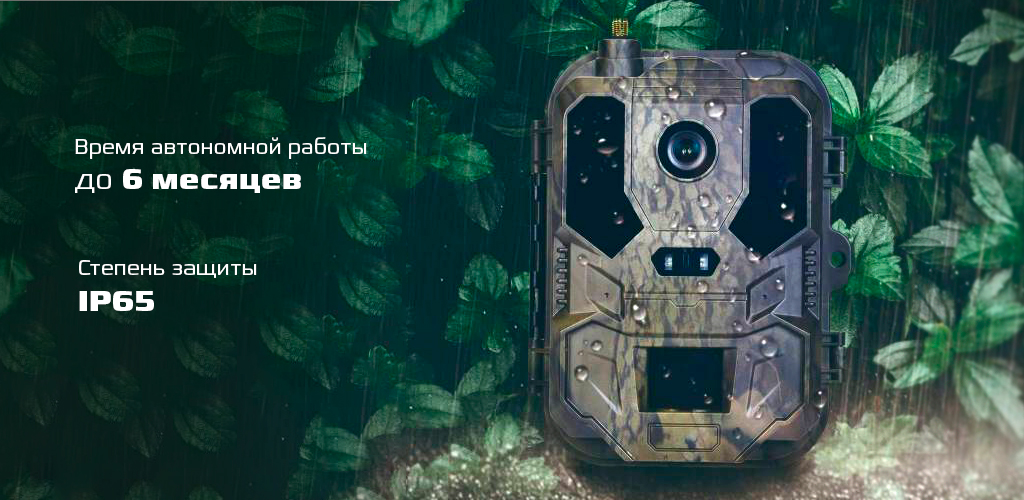 защита.jpg