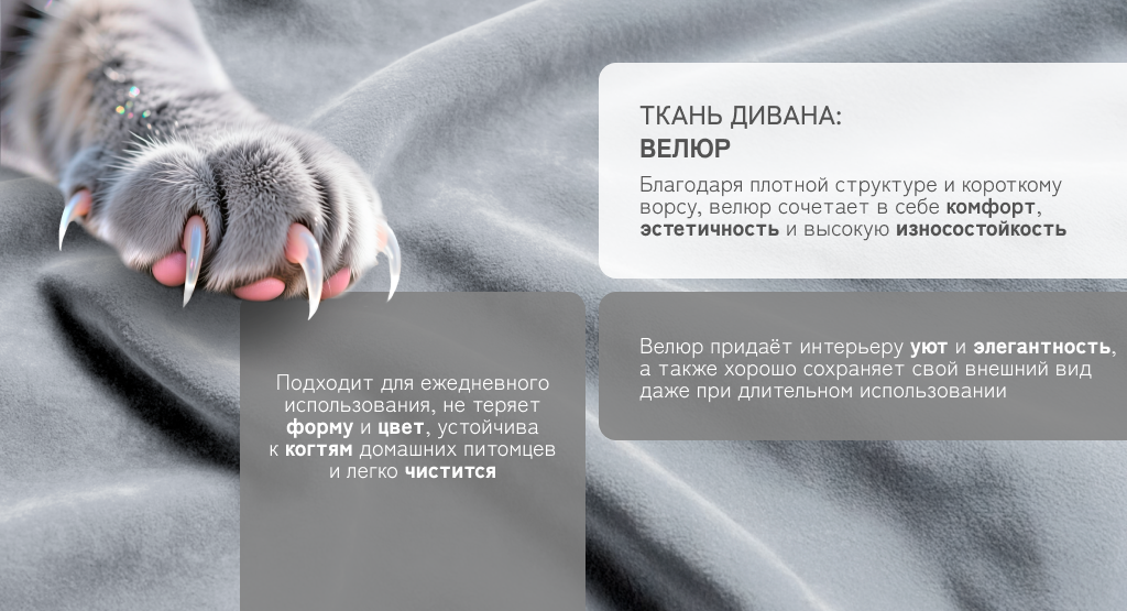 6930878782170 (7).png