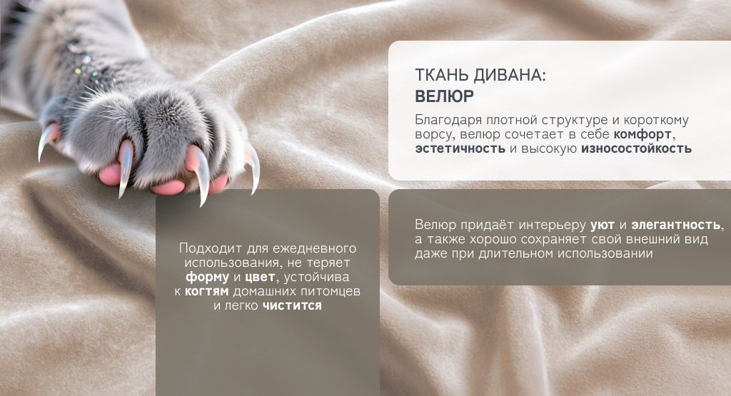 6930878782149 (7).png