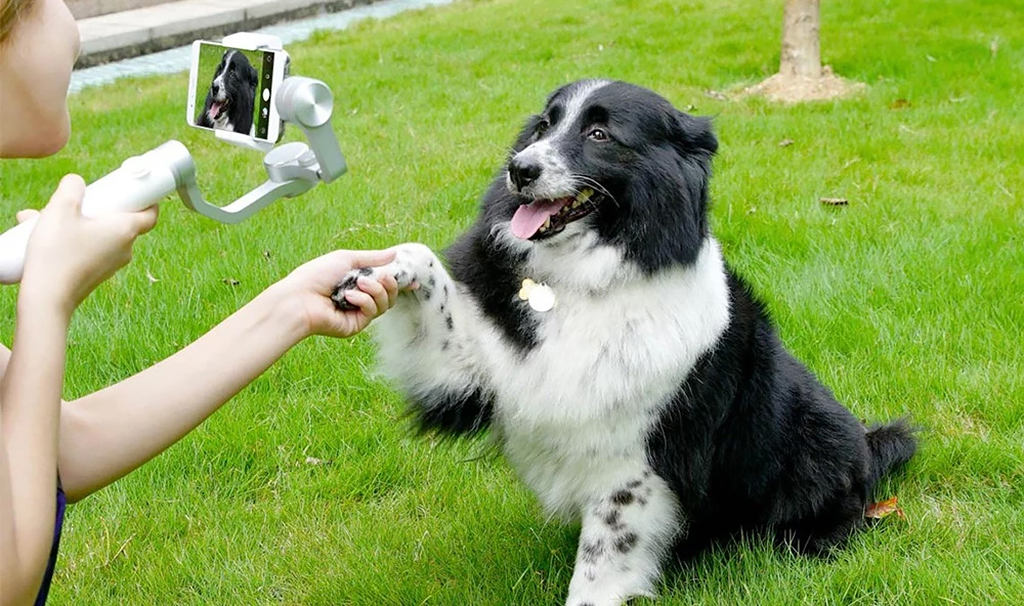 2 XIAOMI MIJIA 3 AXIS HANDHELD GIMBAL STABILIZER (SJYT01FM) WHITE.jpg