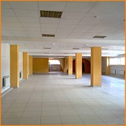 защита торговых и промышленных предприятий от грызунов