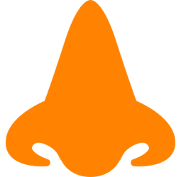 nose.png