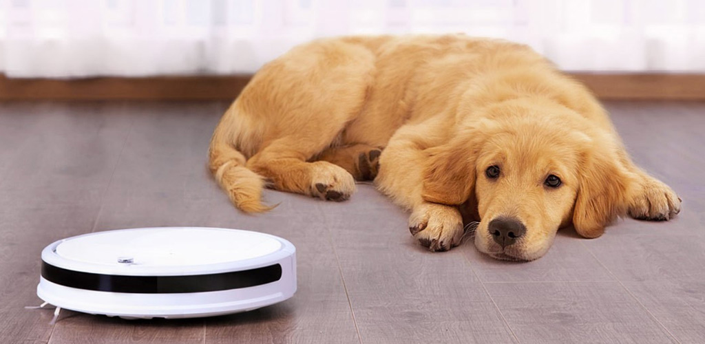 Xiaomi Xiaowa Small Watts Sweep Robots C10 - Компактность