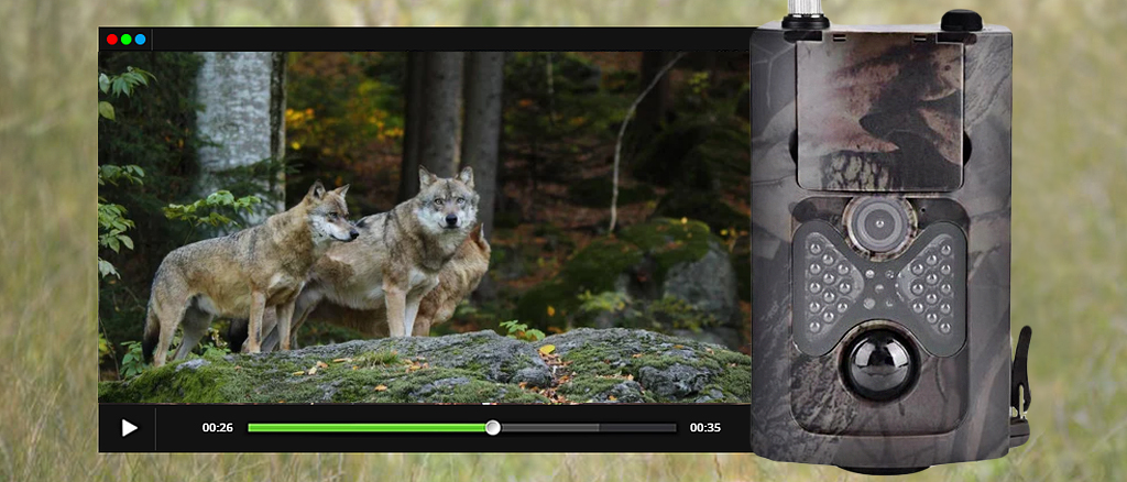 Фотоловушка Suntek HC-550M 7achestvo.jpg