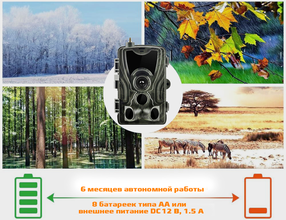 Group 125319.png