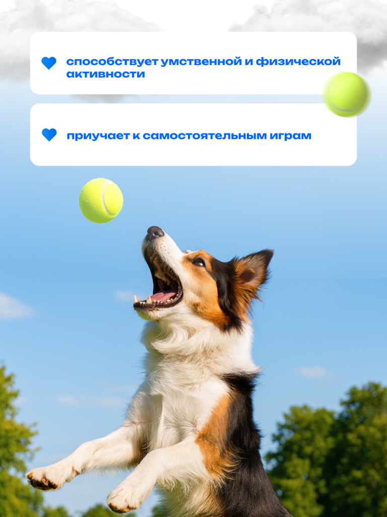 6930878779934 4.png