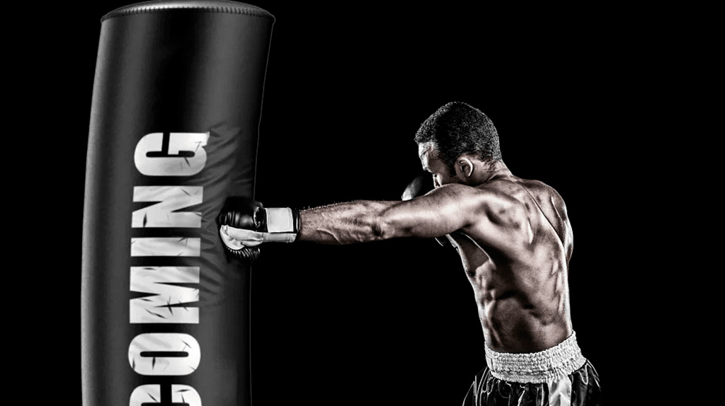 Xiaomi FED Felton Vertical Tumbler Home Martial Arts Boxing Sandbags - Надежная фиксация