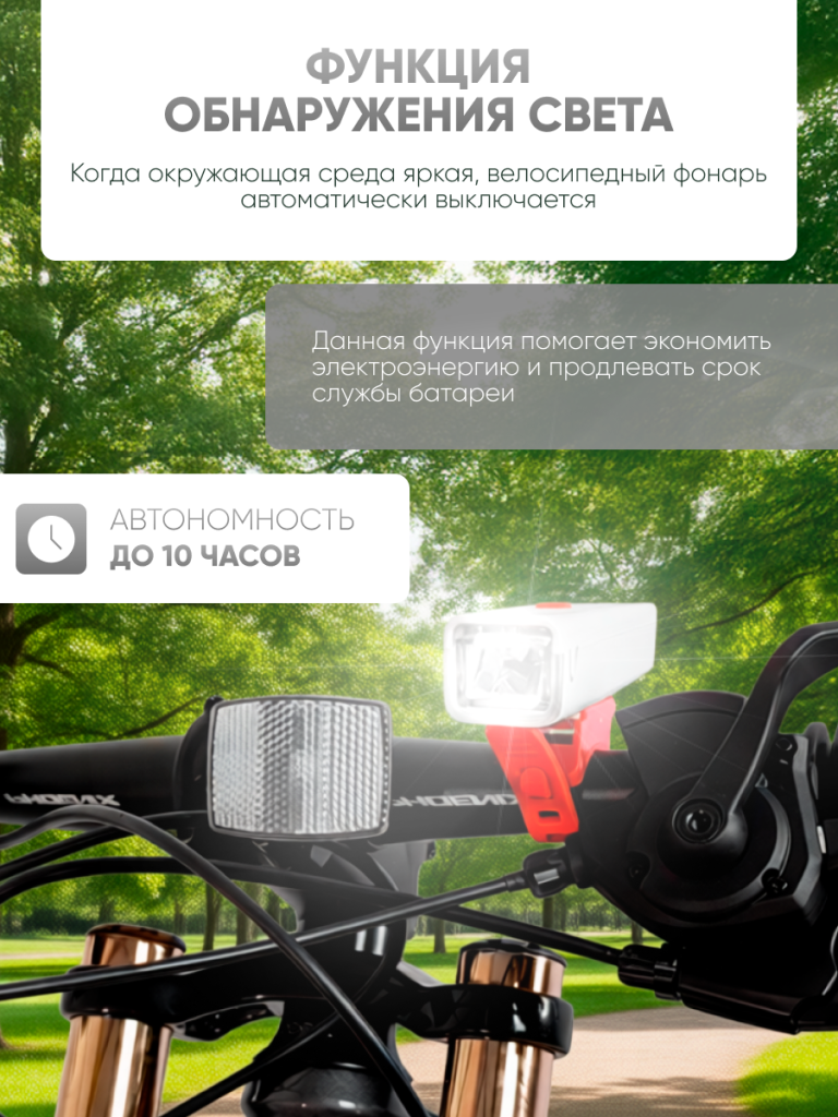 6930878785645 (3).png