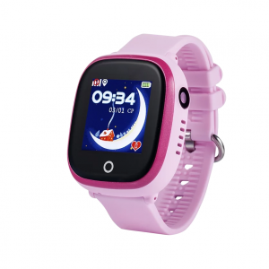 Купить CARCAM GW400X Pink