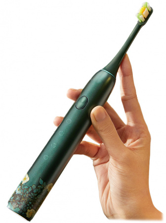 Купить Электрическая зубная щетка Xiaomi X3U Van Gogh Museum Design Green