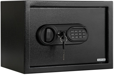 Купить CARCAM Electronic Safe Box (XM25EIS)