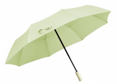 Купить Автоматический зонт Xiaomi KongGu Automatic Umbrella WD1 Green