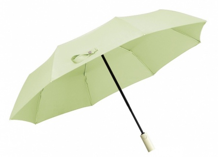 Купить Автоматический зонт Xiaomi KongGu Automatic Umbrella WD1 Green