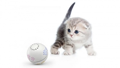 Купить Игрушка для кошки Xiaomi Petoneer Pet Smart Companion Ball