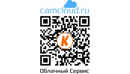 Купить IP камера видеонаблюдения CARCAM CAM-1889P