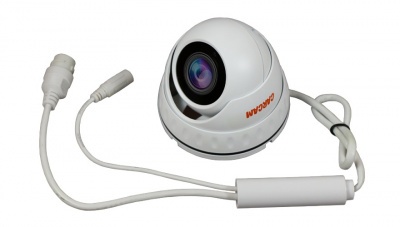 Купить IP камера видеонаблюдения CARCAM CAM-3889P