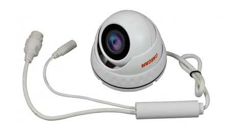 Купить IP камера видеонаблюдения CARCAM CAM-3889P