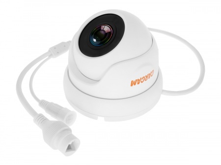 Купить IP камера видеонаблюдения CARCAM CAM-2889P