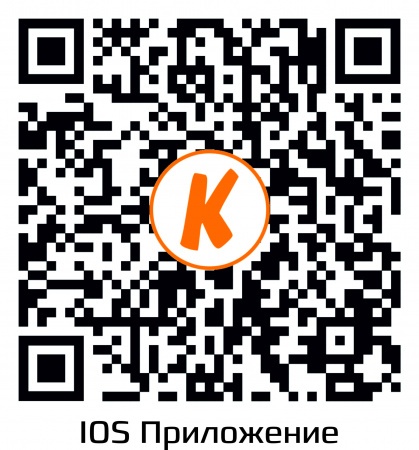 Купить IP камера видеонаблюдения CARCAM CAM-3889P