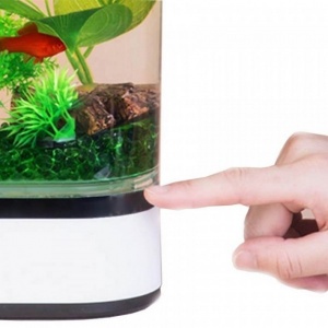 Купить Аква-ферма Xiaomi Descriptive Geometry Mini Lazy Fish Tank (HF-JHYG 005)