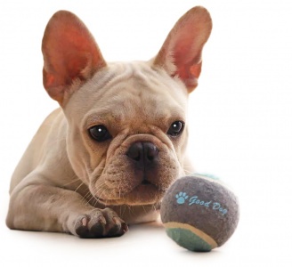 Купить Набор игрушек Xiaomi Youpin Little Beast Star Dog (XT32-5001)