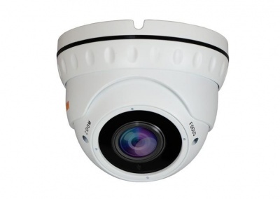 Купить IP камера видеонаблюдения CARCAM CAM-5890P