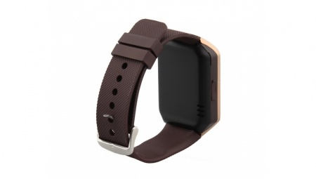 Купить CarCam SMART WATCH DZ09 2019 GOLD