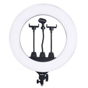 Купить Кольцевая лампа ZB-R18 Ring Light 46cm (без штатива)