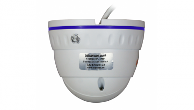 Купить IP камера видеонаблюдения CARCAM CAM-2889P
