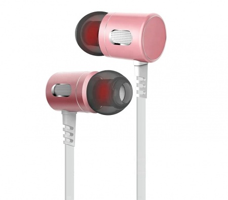 Купить Наушники CARCAM FB400 Golden Rose