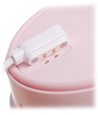 Купить Портативный блендер Xiaomi 17PIN Star Frut Bottle 400ml Pink