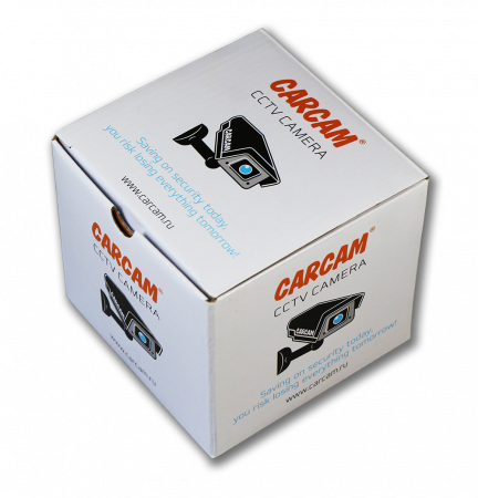 Купить IP камера видеонаблюдения CARCAM CAM-3889P