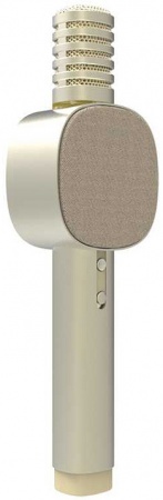 Купить Микрофон Xiaomi Otaru HoHo Sound Mic A3 Gold