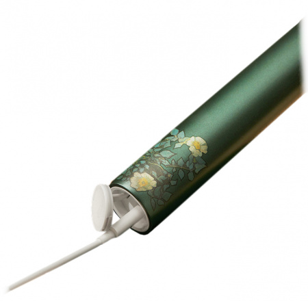 Купить Электрическая зубная щетка Xiaomi X3U Van Gogh Museum Design Green