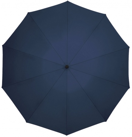 Купить Зонт Xiaomi Zuodu Full Automatic Umbrella Led Blue