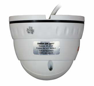 Купить IP камера видеонаблюдения CARCAM CAM-4889P