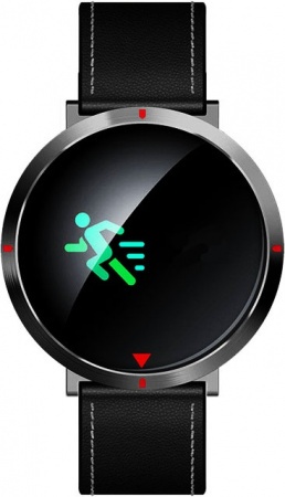 Купить CARCAM Smart Watch S2 черная кожа