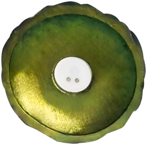 Купить SenCiciMen Shrek's Dog Ultra Penetration Dildo (SCMHW004)