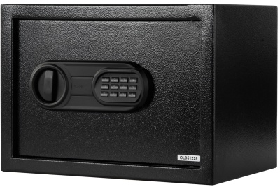 Купить CARCAM Electronic Safe Box (XM25EIS)