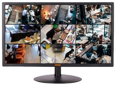 CARCAM LED24A Monitor