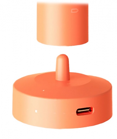 Купить Электрическая зубная щетка Xiaomi ShowSee D2 Sonic Toothbrush Orange Travel Box (D2-P/DHZ-P)