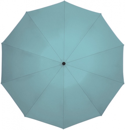 Купить Зонт Xiaomi Zuodu Full Automatic Umbrella Normal Size Green 