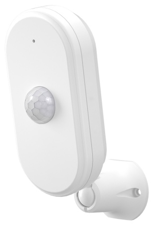 Купить CARCAM Wireless Motion Sensor 809W