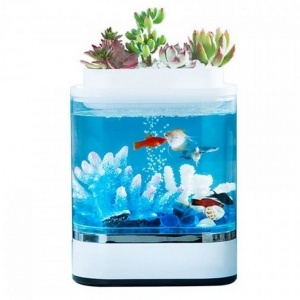 Купить Аква-ферма Xiaomi Descriptive Geometry Mini Lazy Fish Tank (HF-JHYG 005)