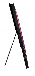 Купить CARCAM 16'' IPS 1080P 60Hz Портативный монитор Type-C*2 miniHDMI для ПК ноутбука телефона (CCL160FA)