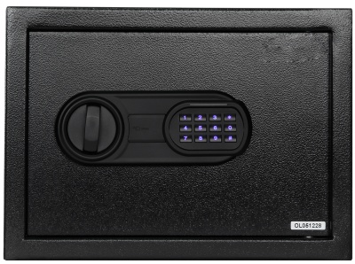 Купить CARCAM Electronic Safe Box (XM25EIS)
