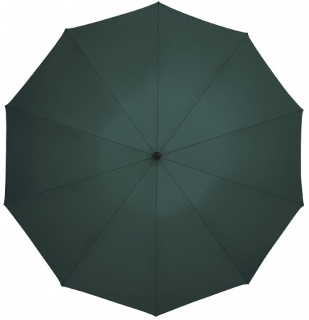 Купить Зонт Xiaomi Zuodu Full Automatic Umbrella Led Dark Green