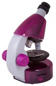 Купить (RU) Микроскоп Levenhuk LabZZ M101 Amethyst\Аметист